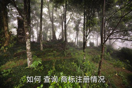 查詢商標(biāo),商標(biāo)網(wǎng)查詢商標(biāo)