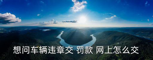 想問車輛違章交 罰款 網(wǎng)上怎么交