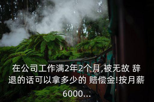 在公司工作滿(mǎn)2年2個(gè)月,被無(wú)故 辭退的話(huà)可以拿多少的 賠償金!按月薪6000...