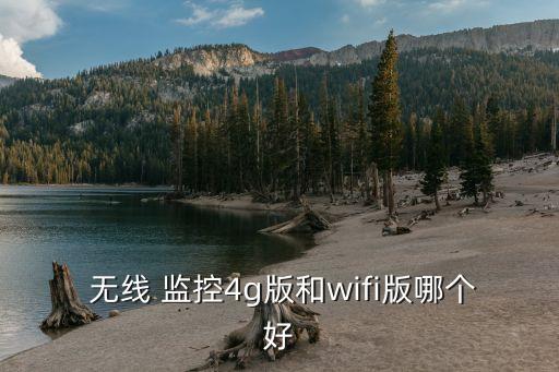  無(wú)線(xiàn) 監(jiān)控4g版和wifi版哪個(gè)好