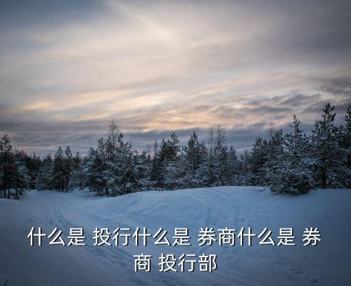 什么是 投行什么是 券商什么是 券商 投行部