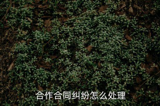  合作合同糾紛怎么處理