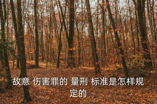故意傷害罪量刑標(biāo)準(zhǔn),什么是故意傷害罪量刑標(biāo)準(zhǔn)