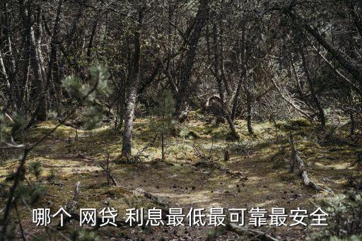 哪個(gè) 網(wǎng)貸 利息最低最可靠最安全