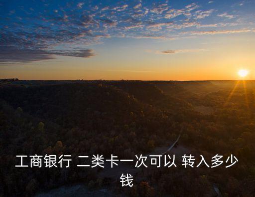 工商銀行 二類卡一次可以 轉(zhuǎn)入多少錢