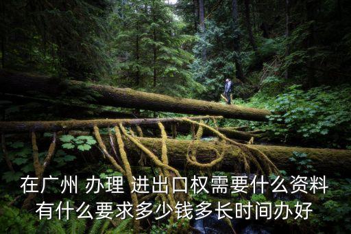 在廣州 辦理 進(jìn)出口權(quán)需要什么資料有什么要求多少錢多長時(shí)間辦好