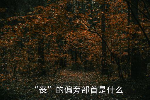 喪的結(jié)構(gòu),沮喪的喪的結(jié)構(gòu)