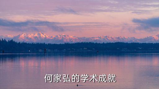  何家弘的學(xué)術(shù)成就