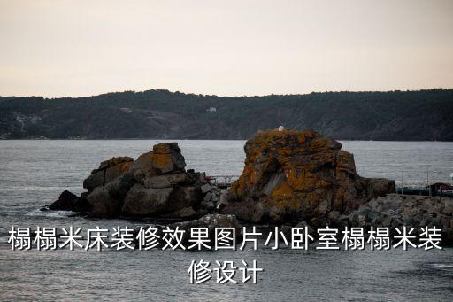 榻榻米床裝修效果圖片小臥室榻榻米裝修設(shè)計
