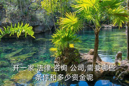 開(kāi)一家 法律 咨詢(xún) 公司,需要哪些條件和多少資金呢