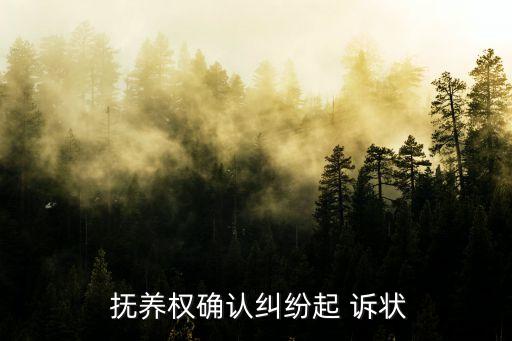  撫養(yǎng)權確認糾紛起 訴狀