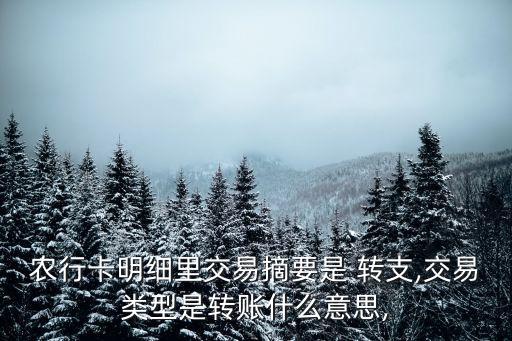 農(nóng)行卡明細(xì)里交易摘要是 轉(zhuǎn)支,交易類型是轉(zhuǎn)賬什么意思,