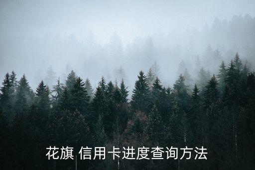 花旗 信用卡進(jìn)度查詢方法