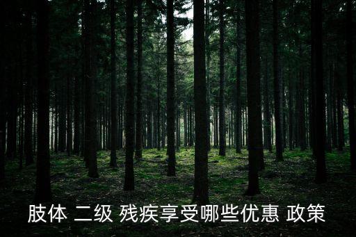 肢體 二級 殘疾享受哪些優(yōu)惠 政策