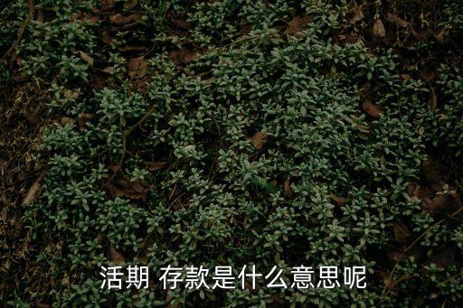  活期 存款是什么意思呢