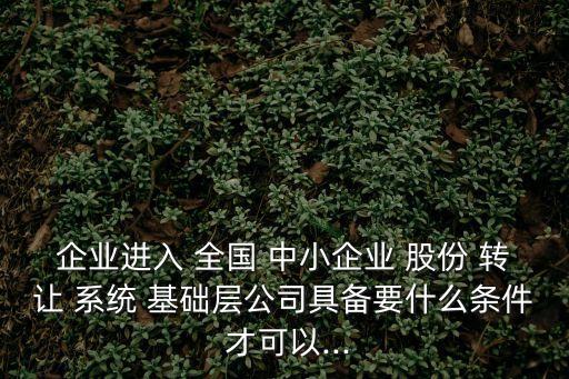 全國(guó)中小企業(yè)股份轉(zhuǎn)讓系統(tǒng)