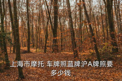 上海車牌多少錢,一個上海車牌多少錢