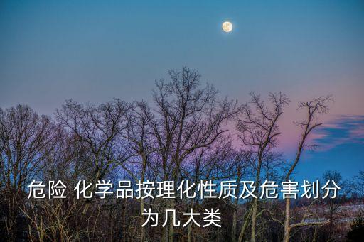  危險 化學品按理化性質(zhì)及危害劃分為幾大類