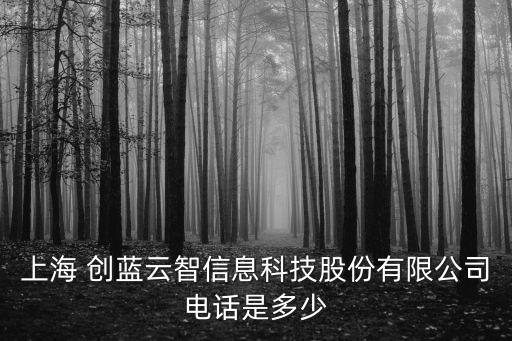 上海 創(chuàng)藍云智信息科技股份有限公司電話是多少