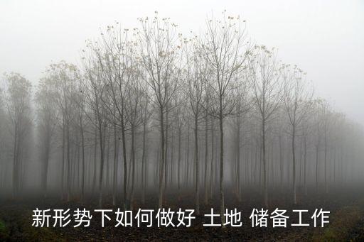 土地儲(chǔ)備