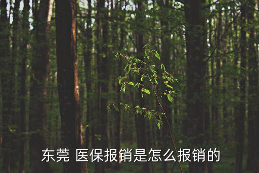  東莞 醫(yī)保報銷是怎么報銷的