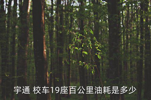 宇通 校車(chē)19座百公里油耗是多少