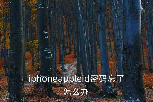 aa123456,啊a12345678