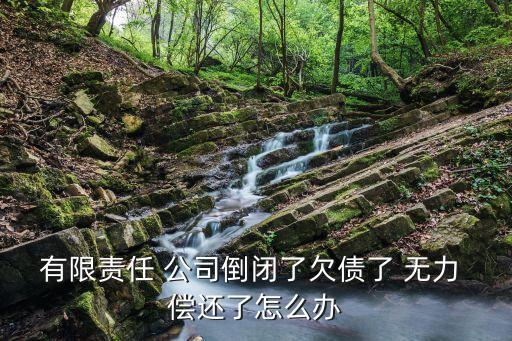 有限責任 公司倒閉了欠債了 無力 償還了怎么辦