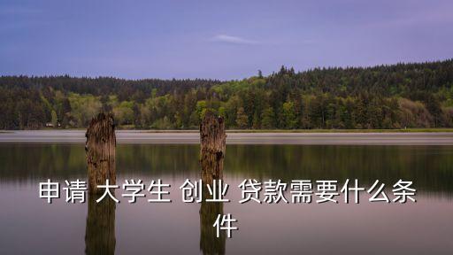 申請(qǐng) 大學(xué)生 創(chuàng)業(yè) 貸款需要什么條件
