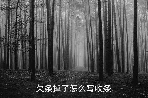 收據(jù)遺失法律合同怎么寫