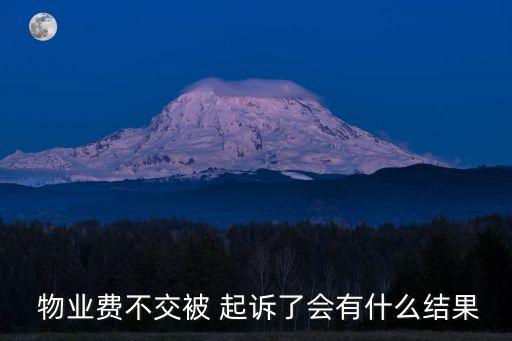  物業(yè)費(fèi)不交被 起訴了會(huì)有什么結(jié)果