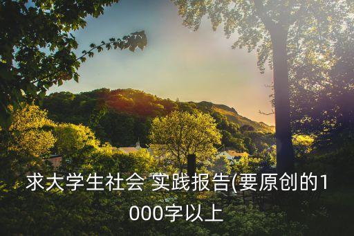 求大學生社會 實踐報告(要原創(chuàng)的1000字以上