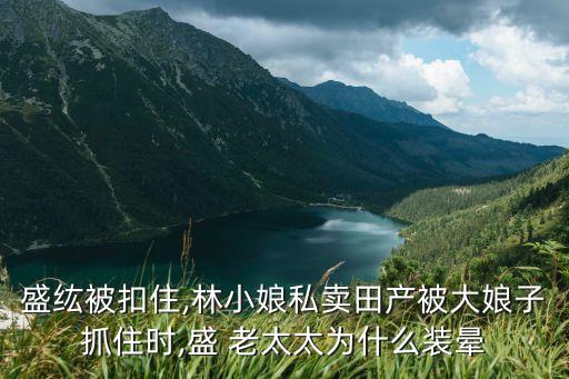 操老太太逼