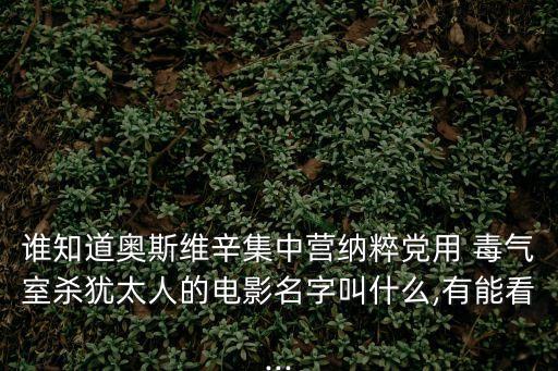 誰知道奧斯維辛集中營(yíng)納粹黨用 毒氣室殺猶太人的電影名字叫什么,有能看...
