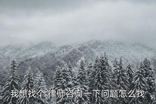 我想找個(gè) 律師咨詢一下問題怎么找