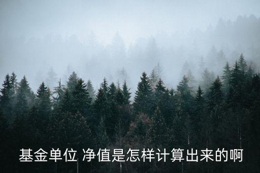 基金凈值怎么算,恒生科技指數(shù)基金凈值怎么算