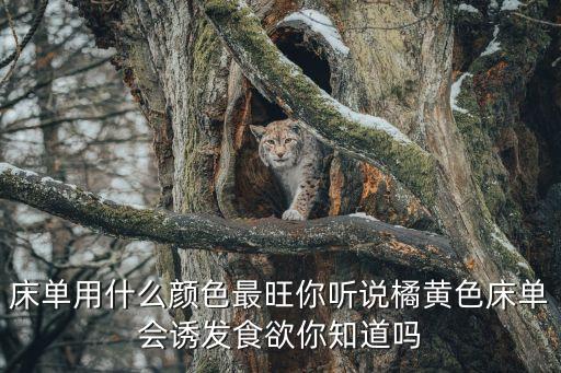 黃上片床大全,休閑實(shí)木床片大全