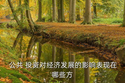 公共投資