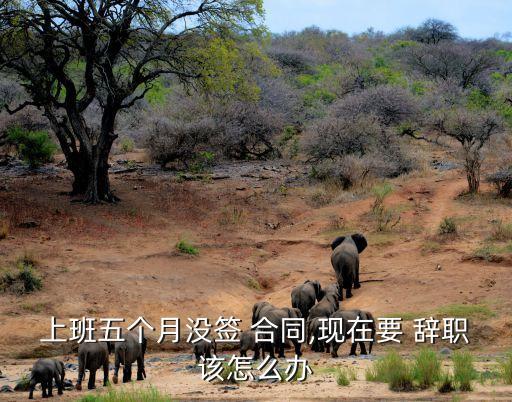 沒有法律合同辭職怎么辦,簽訂工作合同想辭職了怎么辦