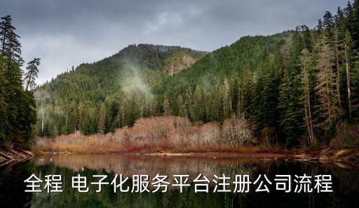 全程 電子化服務(wù)平臺注冊公司流程