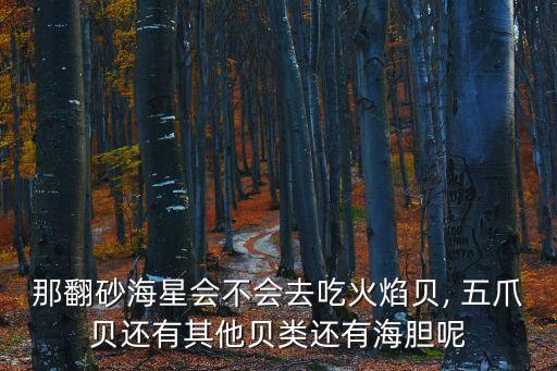 五爪貝