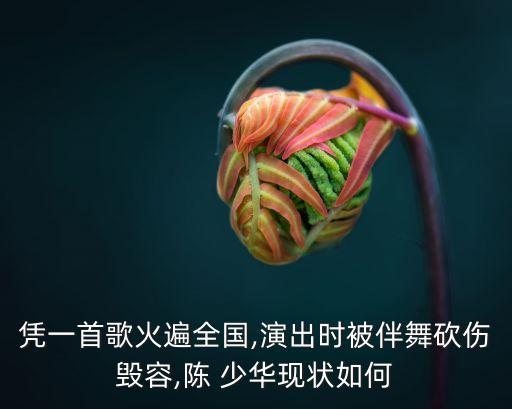 陳少華