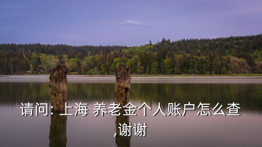 上海養(yǎng)老保險(xiǎn)查詢