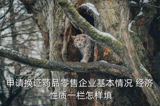 申請換證藥品零售企業(yè)基本情況 經(jīng)濟 性質(zhì)一欄怎樣填