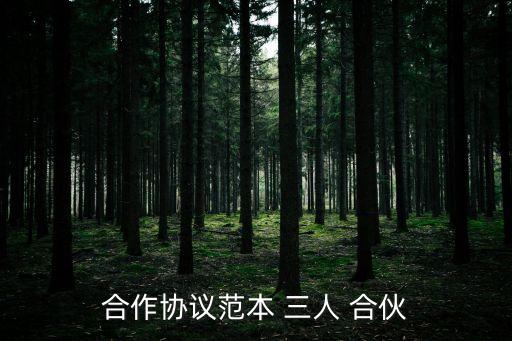 合作協(xié)議范本 三人 合伙