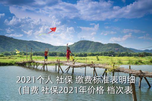 2021個(gè)人 社保 繳費(fèi)標(biāo)準(zhǔn)表明細(xì)(自費(fèi) 社保2021年價(jià)格 檔次表
