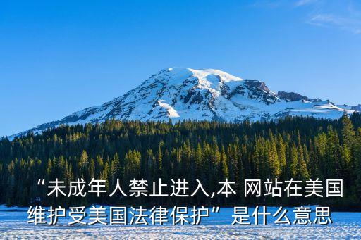 “未成年人禁止進(jìn)入,本 網(wǎng)站在美國(guó)維護(hù)受美國(guó)法律保護(hù)”是什么意思
