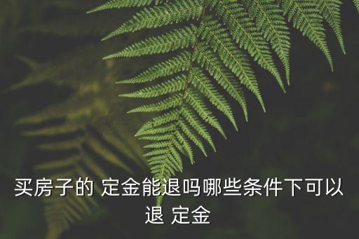 買房子的 定金能退嗎哪些條件下可以退 定金