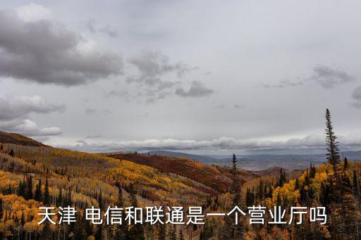  天津 電信和聯(lián)通是一個營業(yè)廳嗎