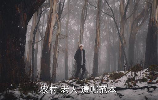 老人自書遺囑范文,請(qǐng)律師寫一份遺囑收費(fèi)是多少